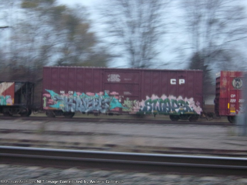 NKCR 50378